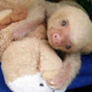 Meet your Posher, J.